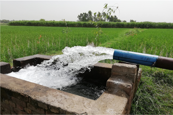 Multi Stage Centrifugal Vertical Pumps Custom Steepness For Irrigation