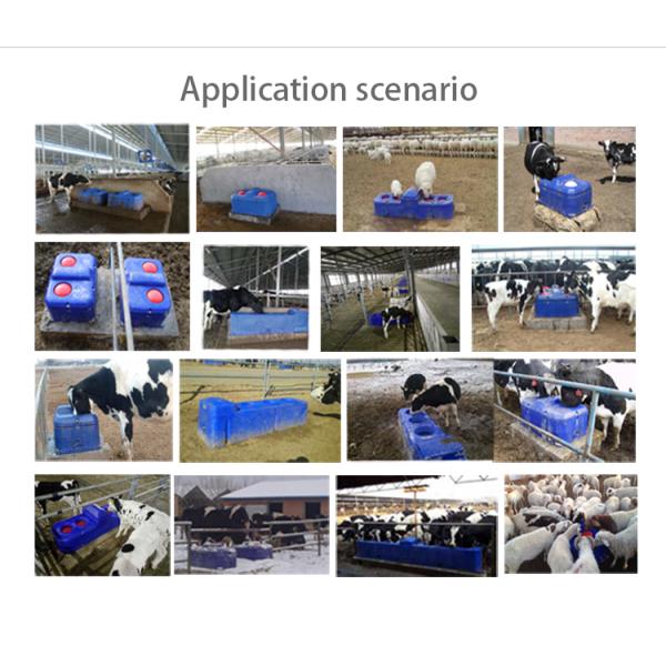 Heavy-duty Impact Resistant Polyethylene Cow Drinking Trough 30cm Drinking Height and Durable Design