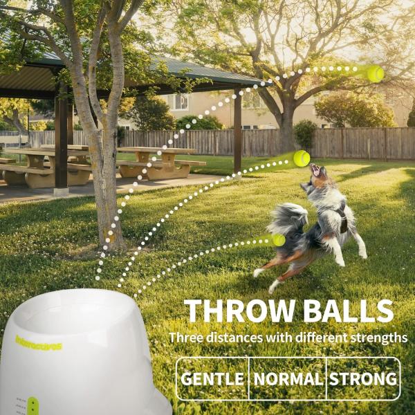 Best Electronic Interactives Automatic Dog Ball Launcher Toys