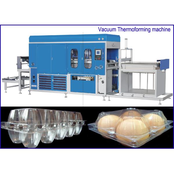 PET Plastic sheet Egg Containers Vacuum Thermoforming Machine , big forming area