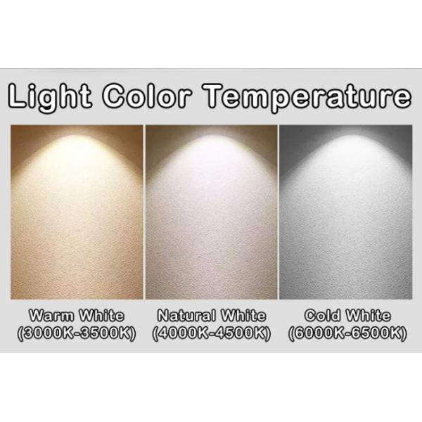 Neutral White 3 Spot Track Light Hook Up Structure Rail Track Spotlight