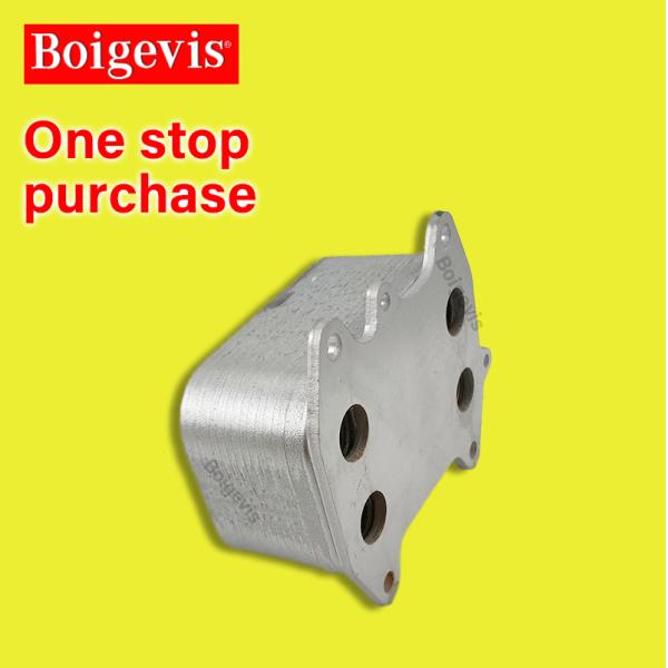 3D0409061G boigevis Aluminum engine Oil Cooler For Phaeton Replace