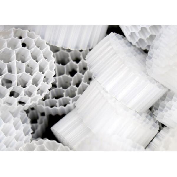 PE38 Mbbr Filter 25*4mm Hdpe Safty Moving Bed Filter Media Large Surface Area