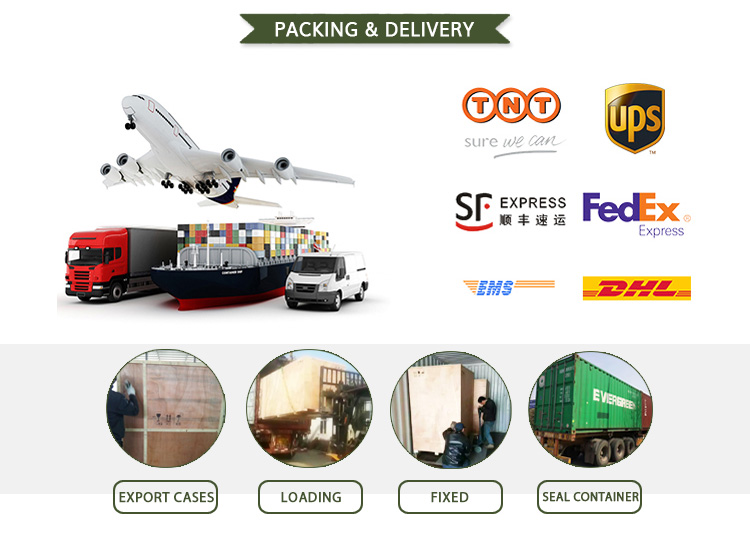 Multi-Grade Automatic Prawn Size Sorting Machine Crayfish White Shrimp Giant Prawn Grader for Seafood Factory