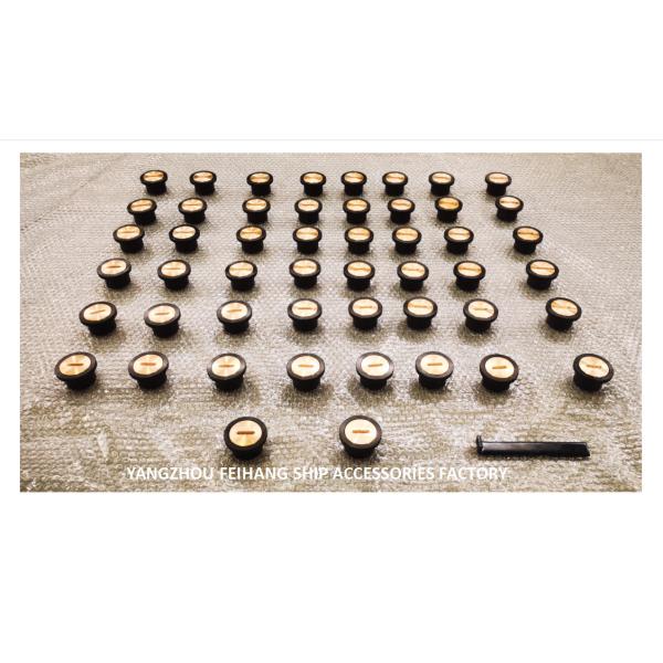 Marine Elevated Sounding Head - Ballast Tank Deck Sounding Injection Head - Ballast Tank Sounding Injection Head C65