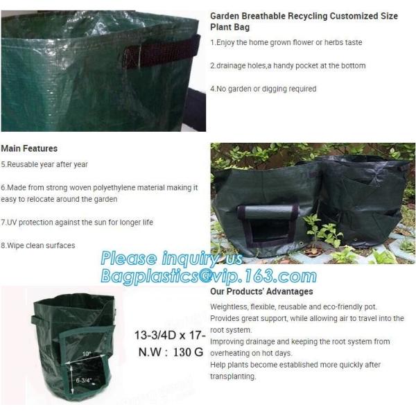 customized waterproof green pe car protector,environmental firendly, car boot liner, reusable, durable,economical,sample