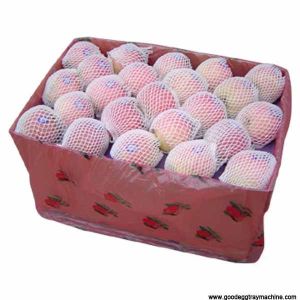 EPE Melon Net Extrusion line