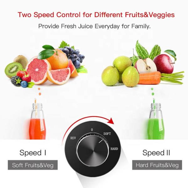 Fruit Vegetable Screw Cold Press Masticating Juice Extractor Filter Free Electric