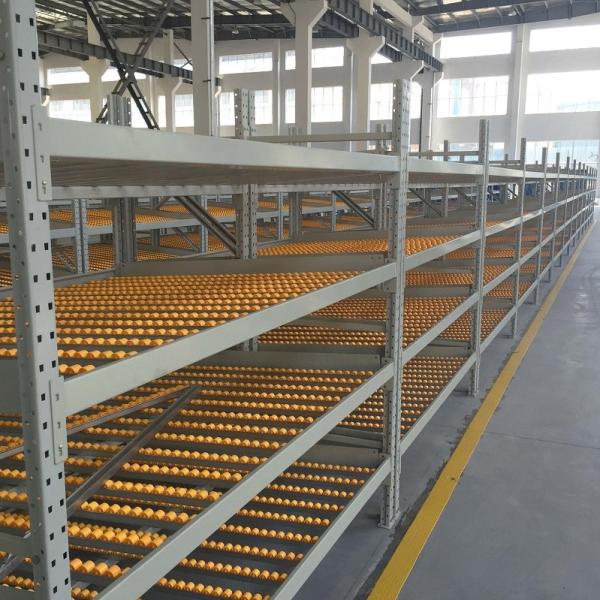 Powder Coating Surface Case Flow Rack Pallet Sliding Rack Space Saving