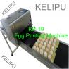 The Whole Pallet Egg Printing Machine , Industrial Inkjet Printer For Eggs for sale