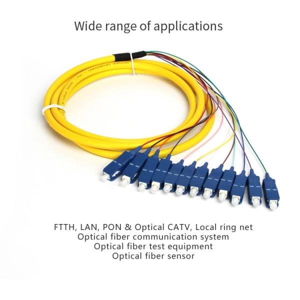 High Precision SM SC 12 Core 0.3dB Fiber Optic Pigtail Single Mode