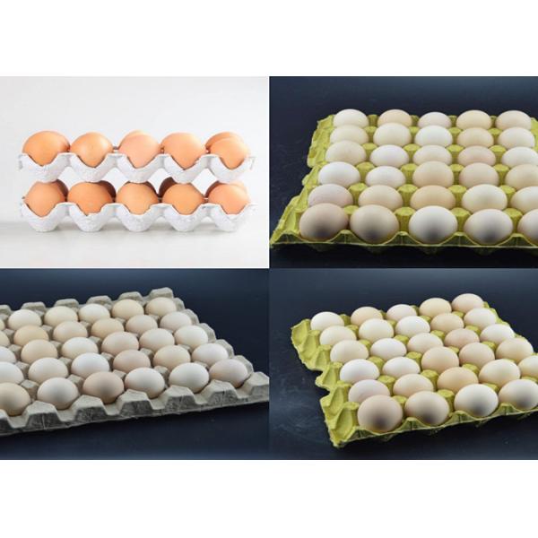 Reciprocating forming egg tray machine small Egg Carton Making Machine 700pcs