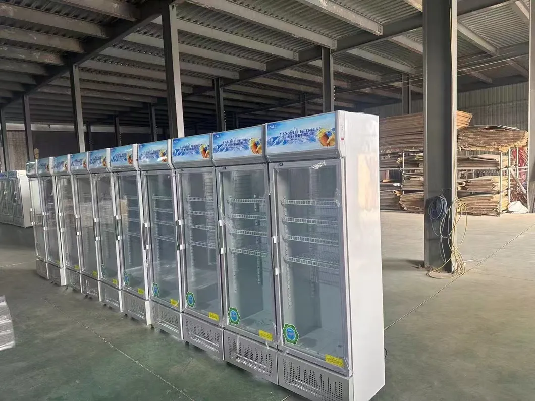 Stainless Steel Industrial Flake Ice Machine Automatic Flake Ice Maker Machine 220V