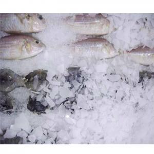 Quality Yxfridge 1000KG/24hrs Flake Ice Making Machine For Seafood for sale