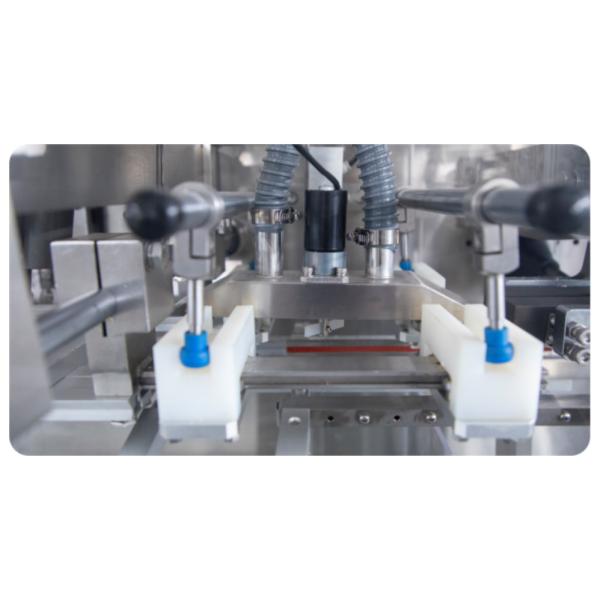 Agricultural Chemical DGD-310AJ Fully Automatic Horizontal Bagging Machine