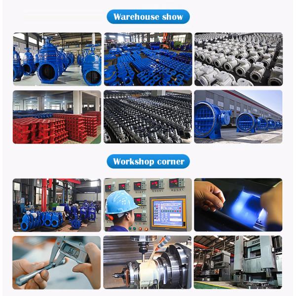 Flange End Single Sphere Air Release Valve