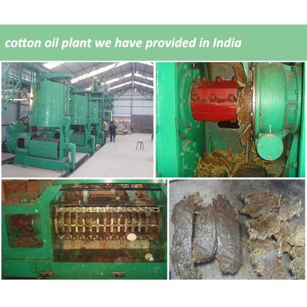 Automatic Grade Automatic Screw Cotton Seed Sunflower Pumpkin Seed Oil Mill Press Machine for Large-Scale Commercial