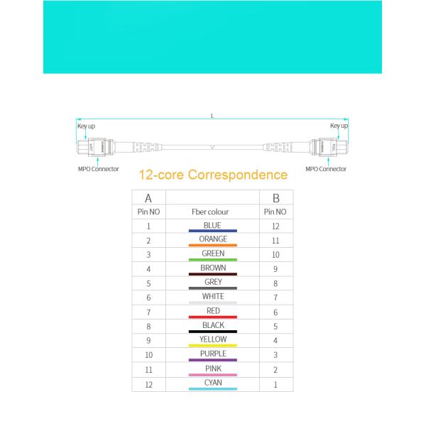 8 Core 12 Core 16core OM4 Fiber Optic Patch Cord Mpo Mtp Patch Cord Polish Type UPC To UPC