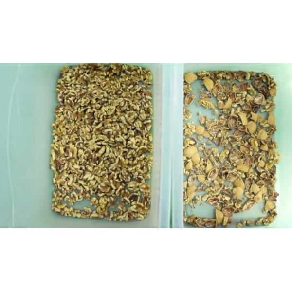 Automatic Walnut Color Sorter Processing Machine RGB Sorting Machine Cashew Nut Color Sorting Machine