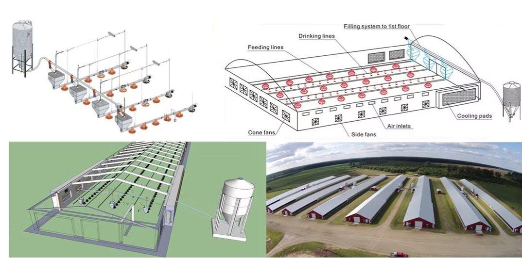 Automatic Poultry Feeding System with Galvanized Steel Construction and Automatic Feeding Control for Chicken Farm Equipment