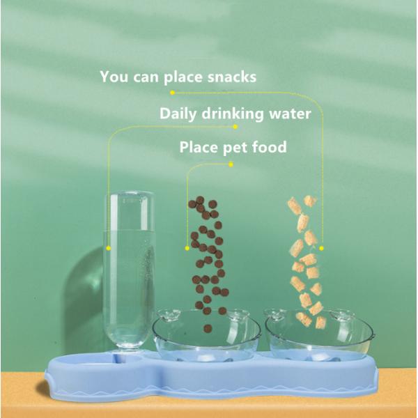 Best Feeding Bowls For Cats Automatic Cat Feeder Microchip