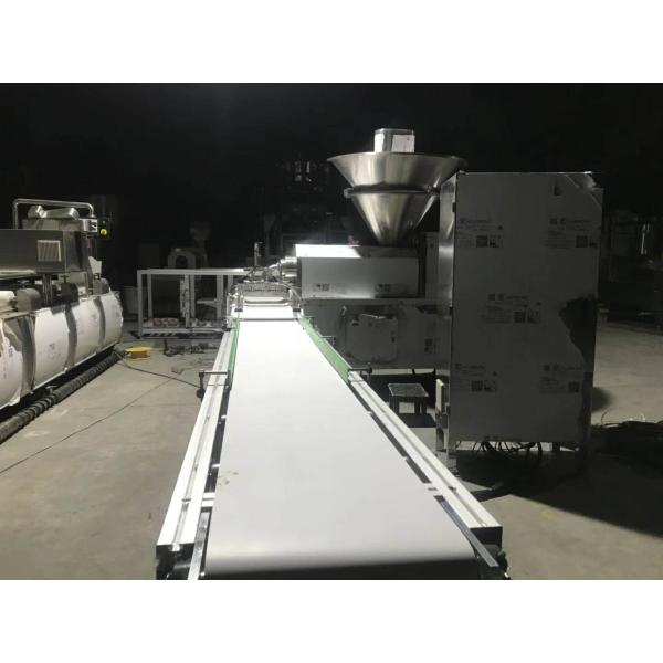 Full Auto Meat Strip Traying System Jerkey Beef Chicken Snack Sticks Making