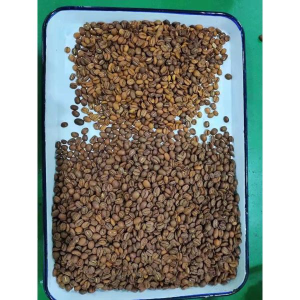 240V 50Hz Roasted Coffee Bean Sorting Machine high speed processing Chip