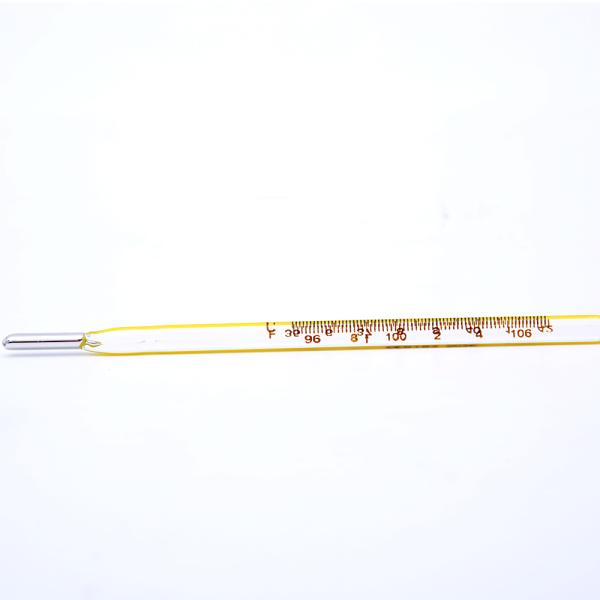 mercury thermometer, oral use