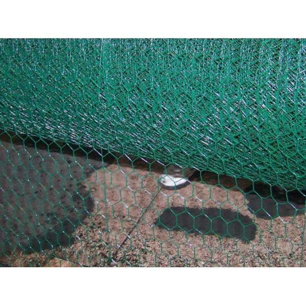 Iron 1/2 Inch Hot Dipped Hexagonal Wire Mesh Pvc Coated