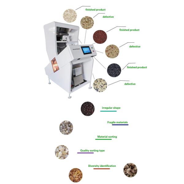 Multi Functional Cashew Nut Color Sorter Machine 50HZ To Sort Wheat Peanut
