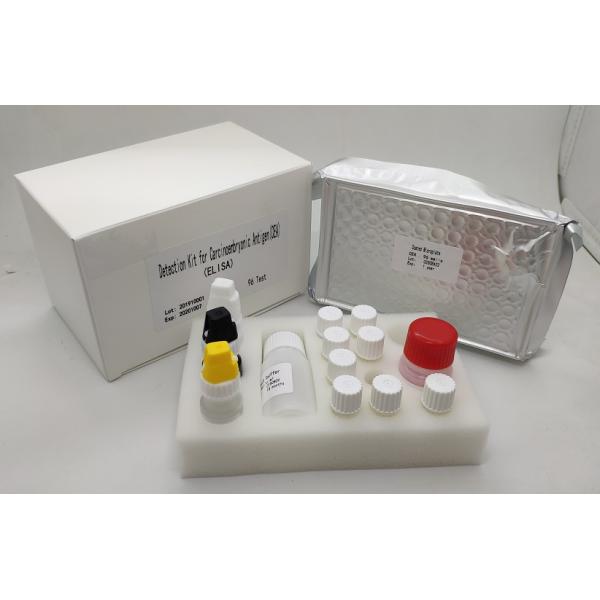 High Sensitive CEA Elisa Kit Detection Human Carcinoembryonic Antigen