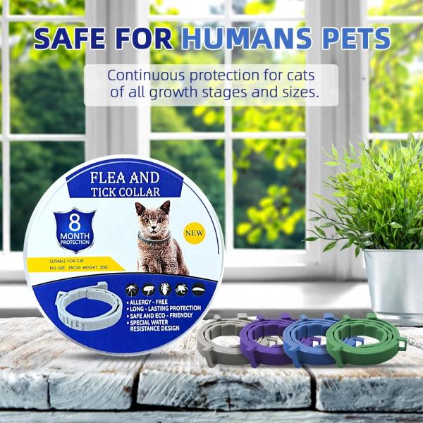 Solid Pattern Anti-Flea Tick Mosquito Durable Adjustable Silicone Pet Collar for Dogs Cats Stocked and Natural Formula