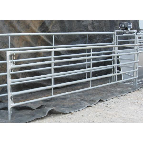 Hot Dipped Galvanized Corral Panel, Chain Latch, 12 Ft Corral fencing