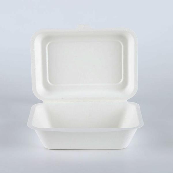 Sugarcane pulp paper packaging burger box container