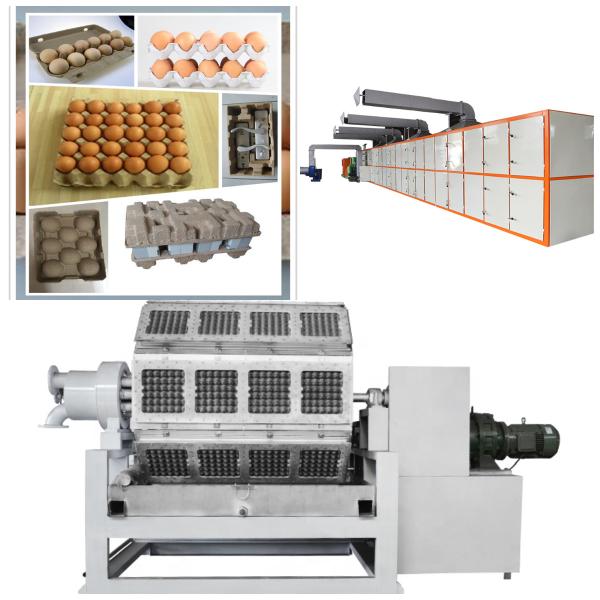 5*8 Molds Big Capacity Fully Automatic Egg Tray Packaging Machine / Pulp Molding Equipment / Egg Tray Production Line with PLC Control Touch Screen