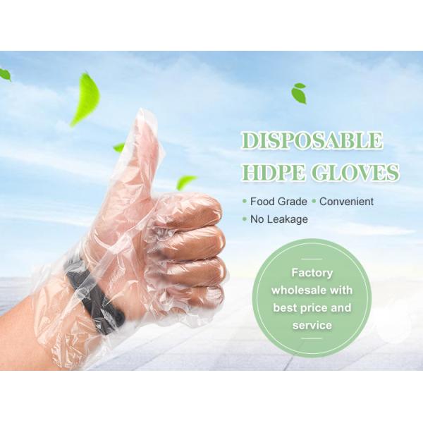 Waterproof Disposable Plastic Gloves For Kitchen Baking Customized Size 70-100g Oil Resistant