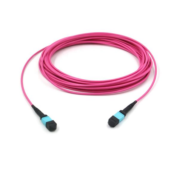 Elite Multimode OM4 50/125 Plenum OFNP Type B MPO Patch Cord 3.0mm Cable 10m 33ft MTP-12 PC Female to MTP-12 PC Female