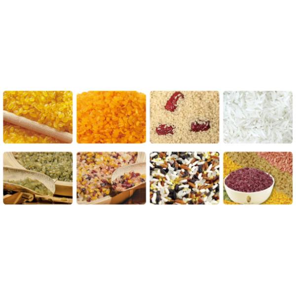 SIEMENS Artificial Rice Processing Line Multifunction Twin Screw Extruder