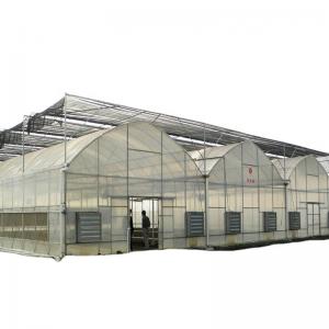 Quality Customized Multi-span Vegetable Grow Tunnel Greenhouse for Vegetable Cultivation for sale