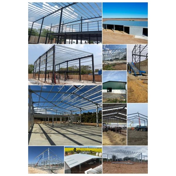 Prefabricated Steel Structure Building with Large-Span Capability, Earthquake Resistance Grade 8, and Quick On-Site Assembly