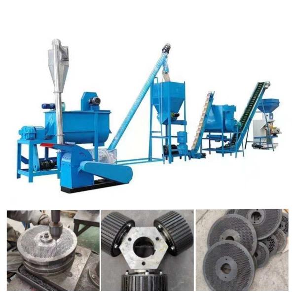 2ton/H Automatic Poultry Pellet Machine 2.5mm Pellet Making Machine For Poultry Feed