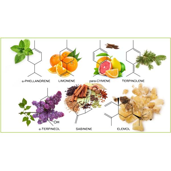 Automatic Grade Automatic Natural Garlic Oil Extraction Garlic Essential Oil Steam Distillation Machine for Your Business