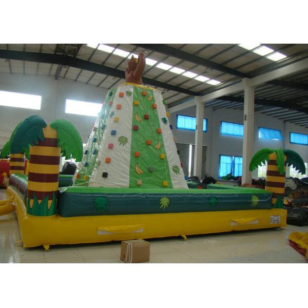 Funny Monkey Inflatable Rock Climbing Wall Challenging For Outdoor Activities