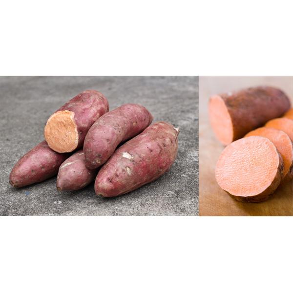 Sweet Potato Vegetable Chips Making Machine High Performance Capacity 50kg/ Batch