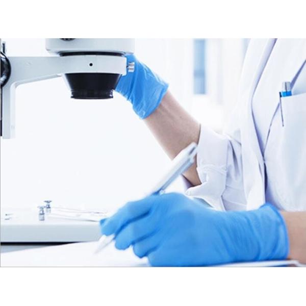 Powder / Powder Free Disposable Nitrile Examination Gloves