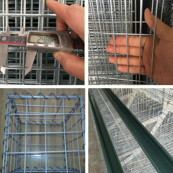 6ft hot dipped welded wire mesh roll galvanized welded mesh fencing