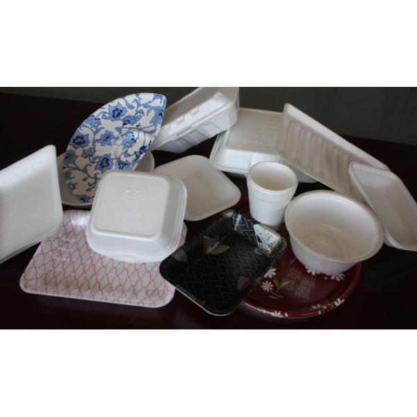 Touch Screen Control Disposable Food Containers Machine 150KG / H