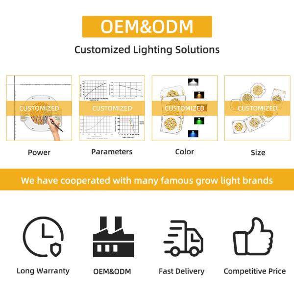 57V Cob Light Source 150W 200W Constant Voltage Warm White Two-Color Optional Wholesale Support