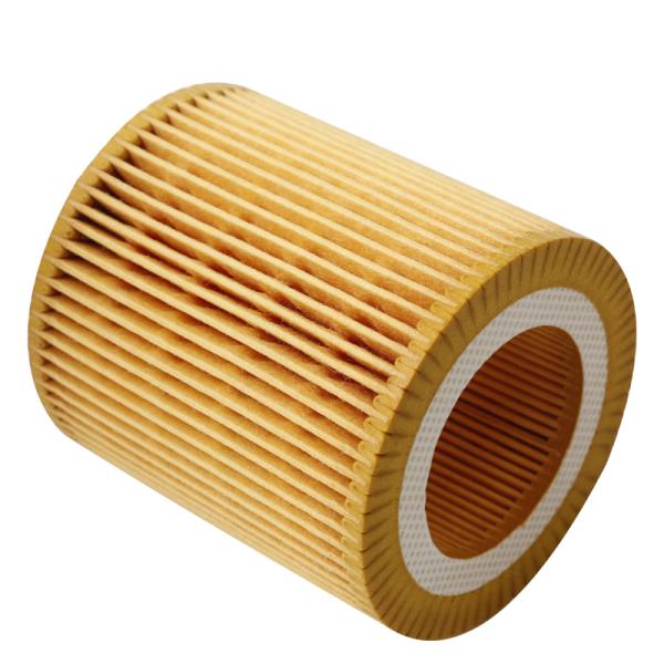 Oil Filter Element For BMW OEM 11427566327