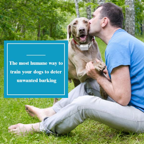 Fashionable Plastic Nylon Electronic Dog Agility Training Collar PT-520 Remote Control Bark Stopper Spray Feature Waterproof